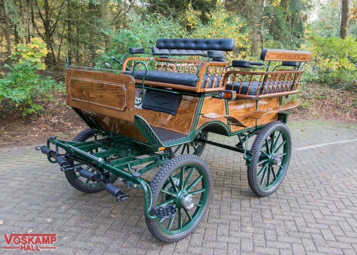 Wagonette recreatiewagen Pallene