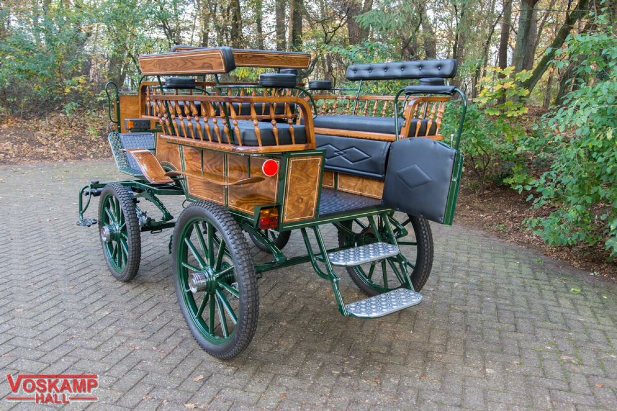 Wagonette recreatiewagen Pallene