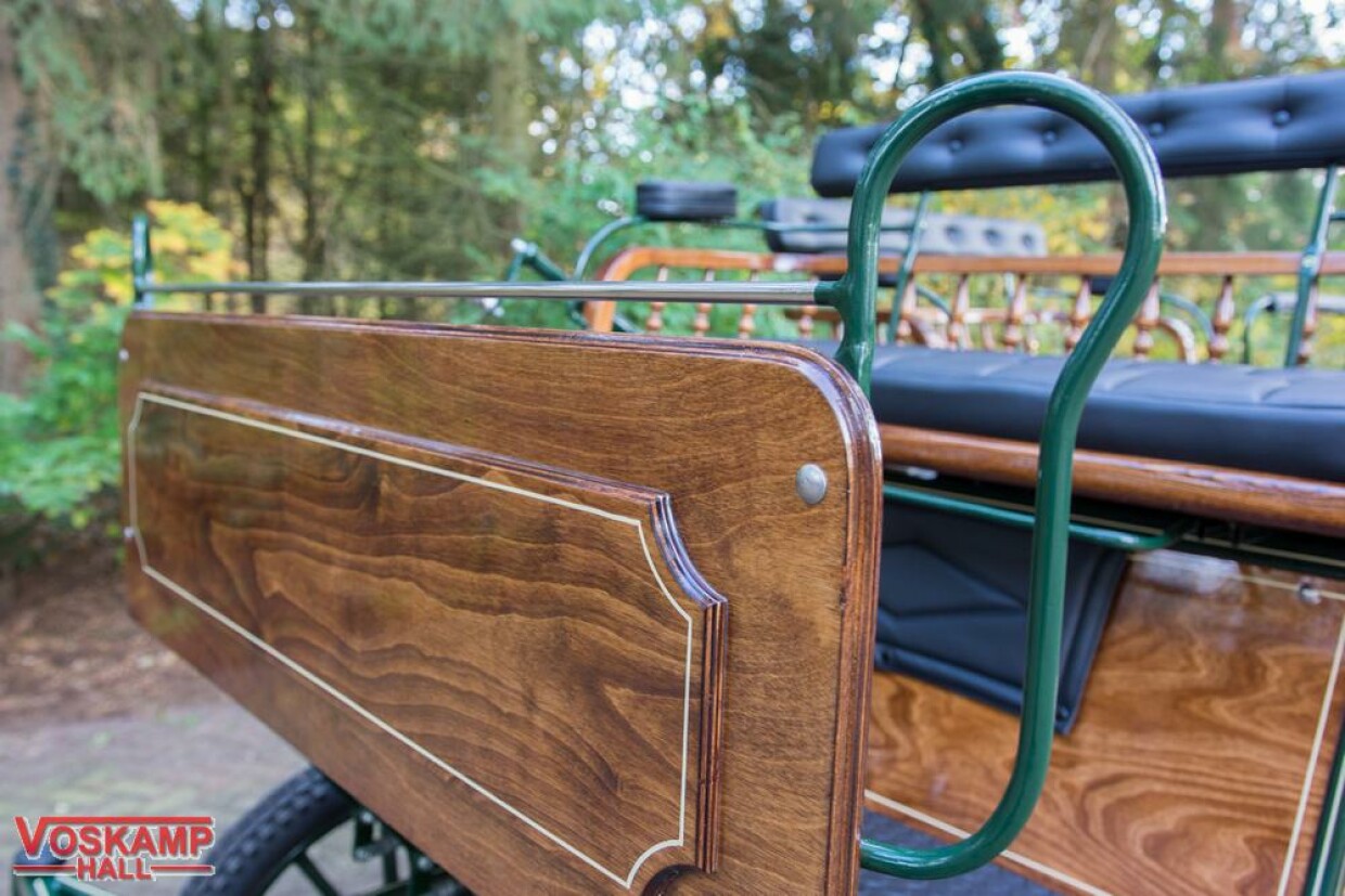 Wagonette recreatiewagen Pallene